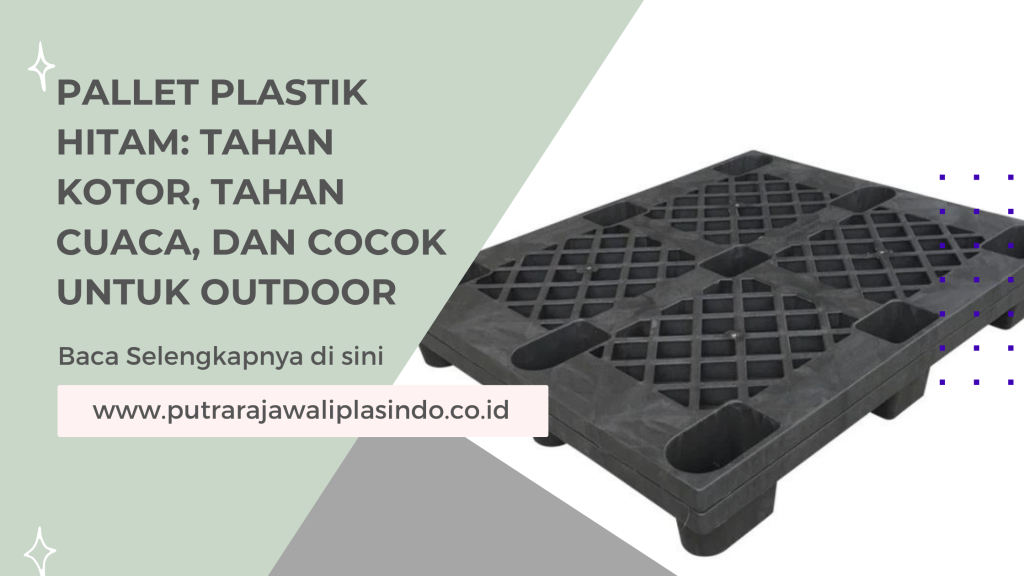 Harga Pallet Plastik Baru: Update Harga, Ukuran, dan Lokasi Pengiriman
