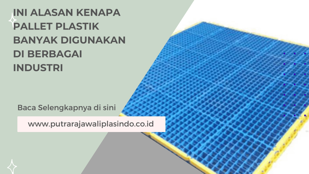 Ini Alasan Kenapa Pallet Plastik Banyak Digunakan di Berbagai Industri