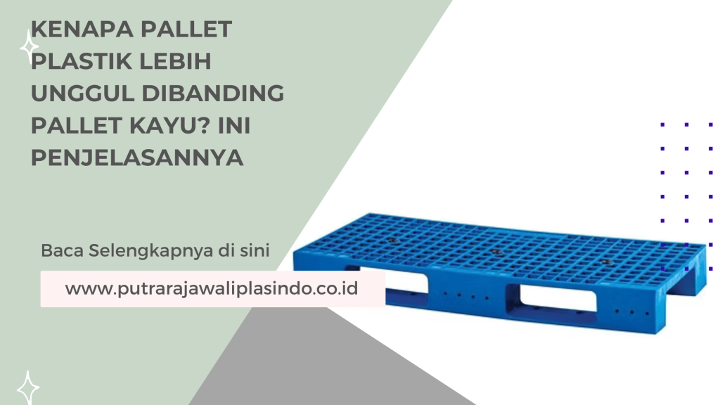 Kenapa Pallet Plastik Lebih Unggul Dibanding Pallet Kayu? Ini Penjelasannya