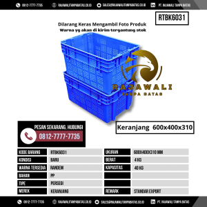 Keranjang Bekas & Baru Ukuran 600x400 mm - RTBK6031 - Random Kapasitas 40 Liter